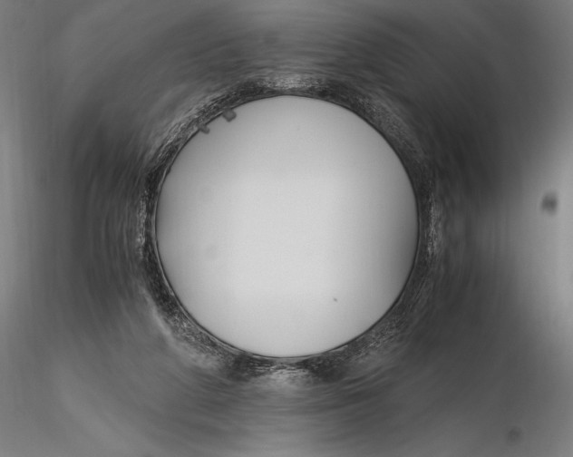 X0000115480210200912041001
