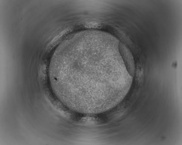 X0000115480211200912041001