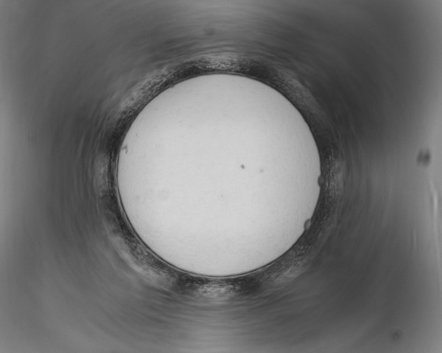 X0000115480213200912041001