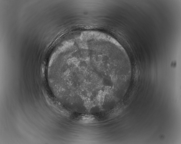 X0000115480214200912041000