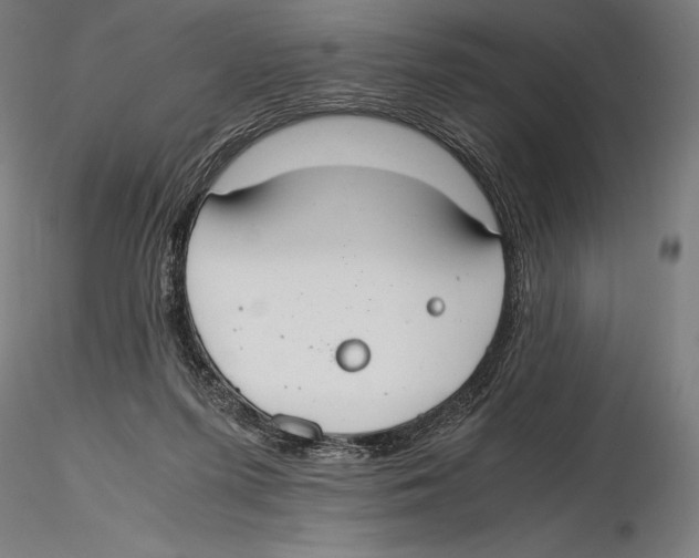 X0000115480215200912041000