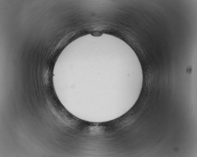 X0000115480216200912041000