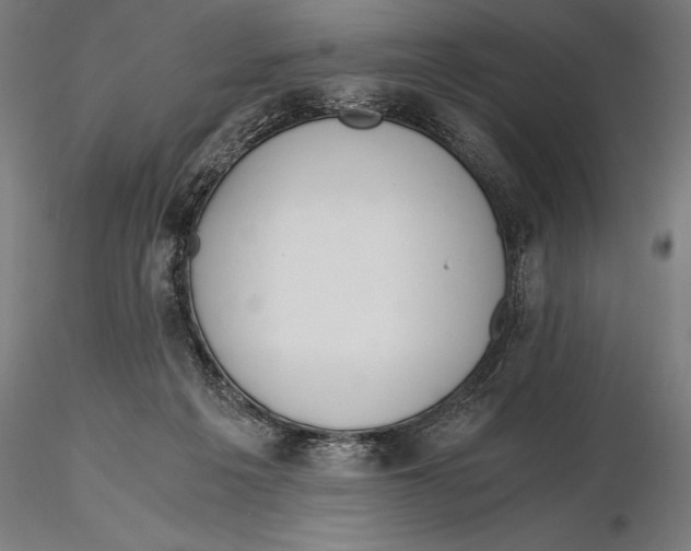 X0000115480217200912041000