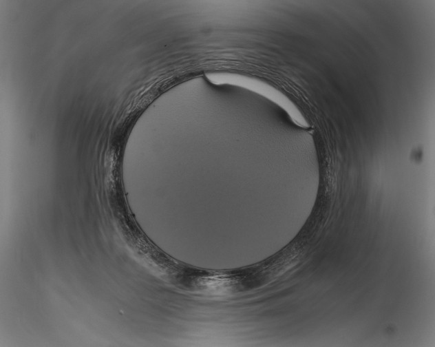 X0000115480219200912041000