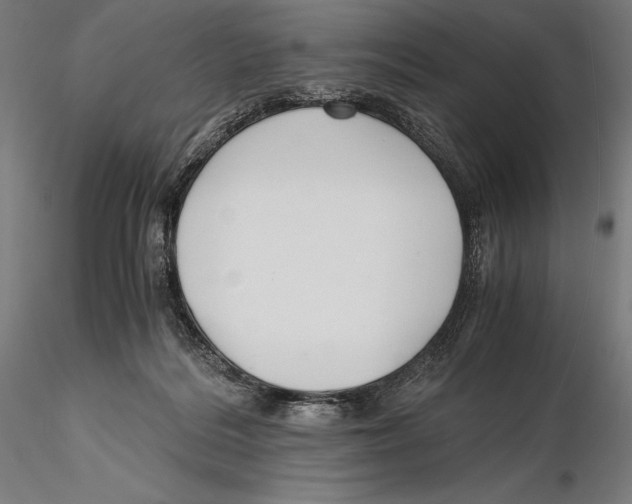 X0000115480220200912041000