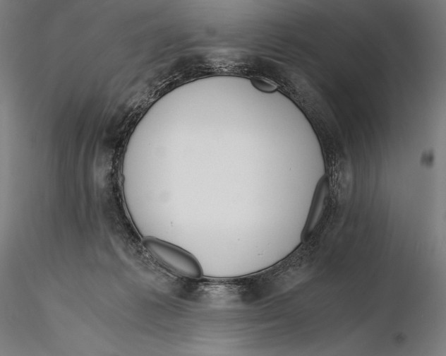 X0000115480221200912041000