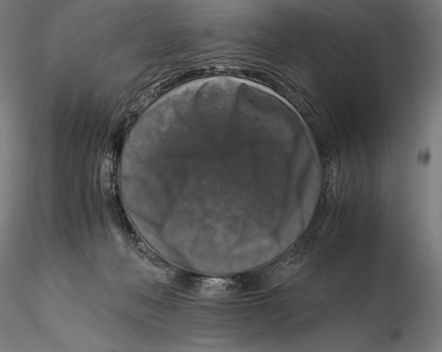 X0000115480222200912041000