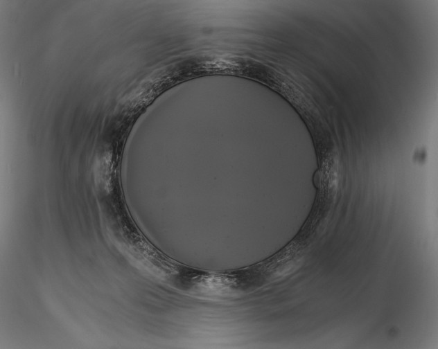 X0000115480223200912041000