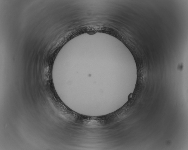 X0000115480224200912041000
