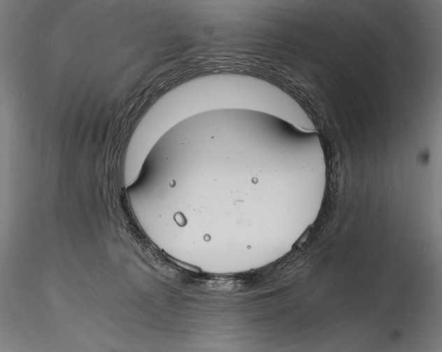 X0000115480225200912041000