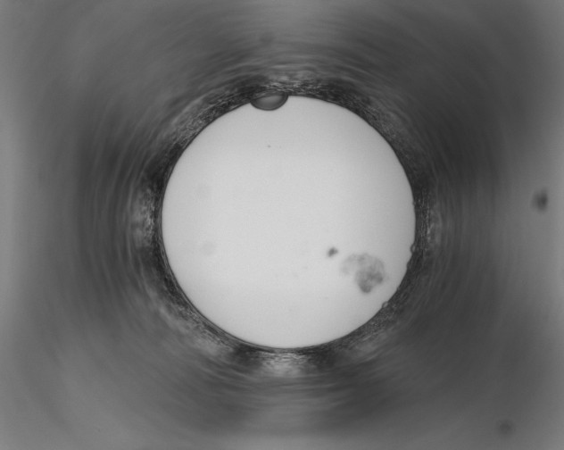 X0000115480226200912041000