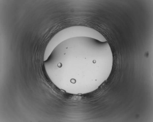 X0000115480227200912041000