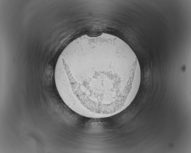 X0000115480228200912041000