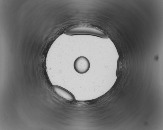 X0000115480229200912041000
