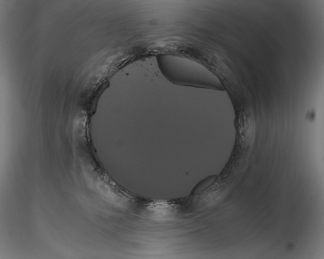 X0000115480231200912041000