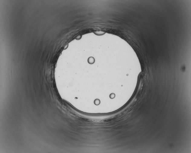 X0000115480233200912041000
