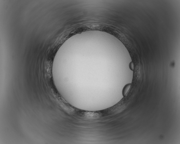 X0000115480234200912041000