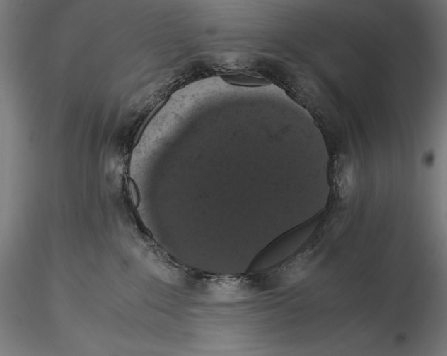 X0000115480235200912041000