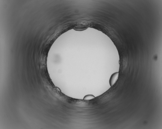 X0000115480236200912041000
