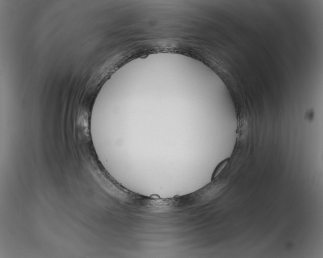 X0000115480238200912041000