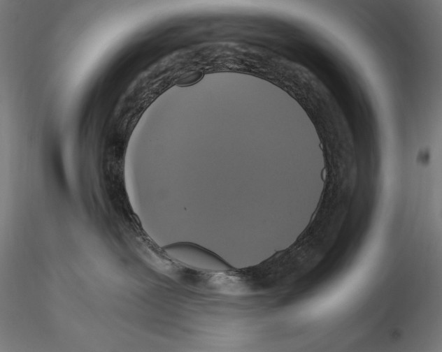 X0000115480239200912041000