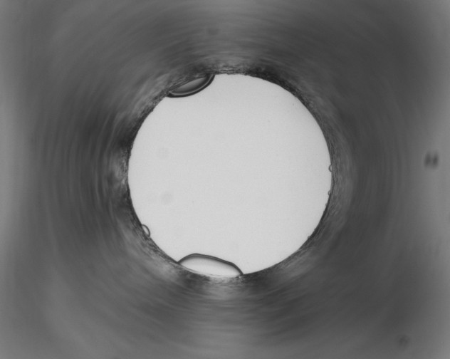 X0000115480240200912041000