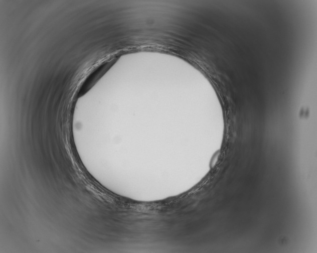 X0000115480241200912040959