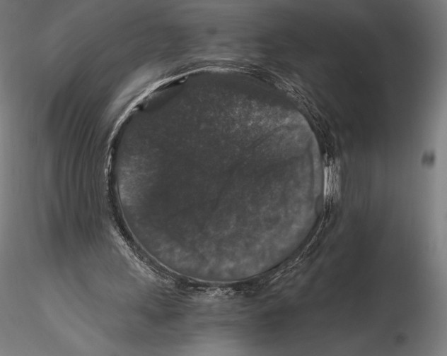 X0000115480243200912040959