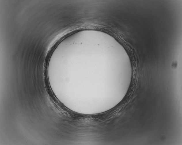 X0000115480244200912040959