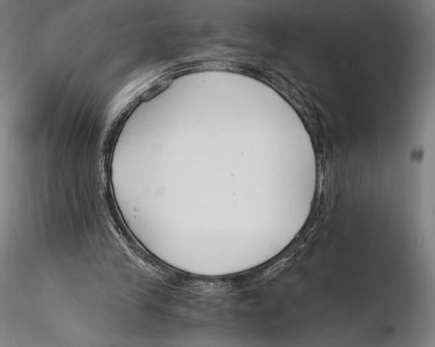 X0000115480245200912040959