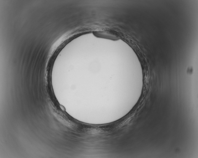 X0000115480246200912040959