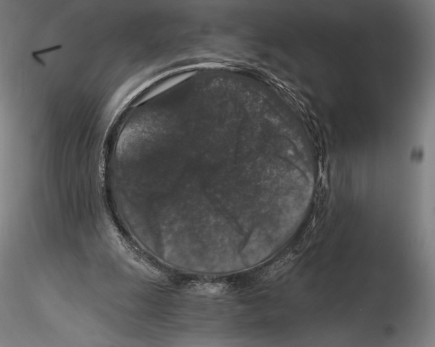 X0000115480247200912040959