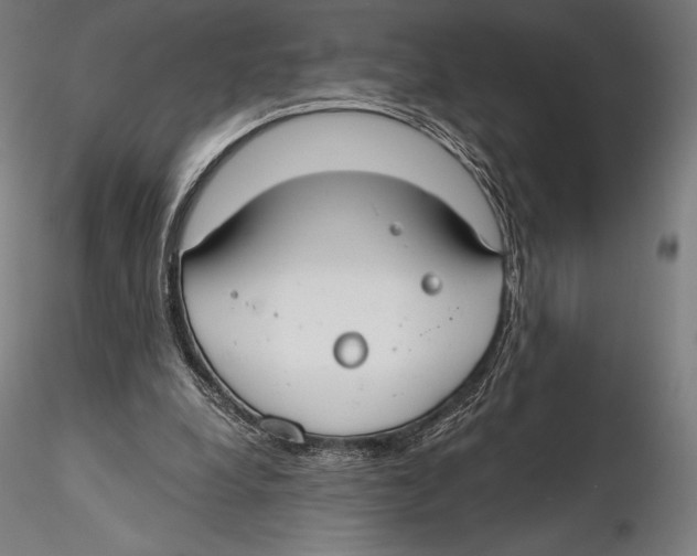 X0000115480248200912040959