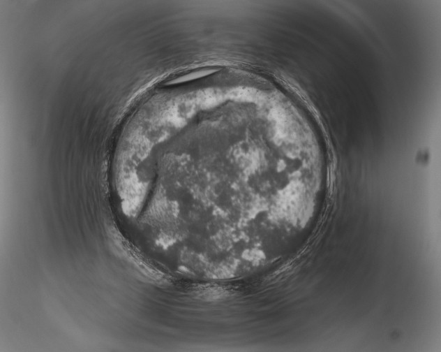 X0000115480249200912040959