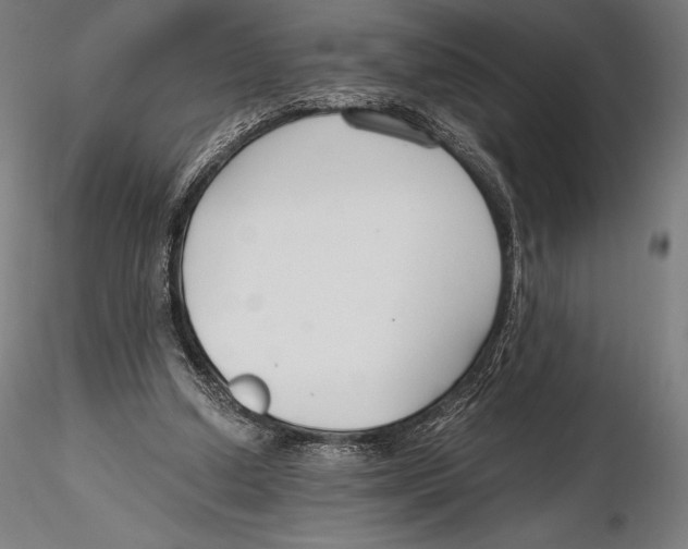 X0000115480250200912040959