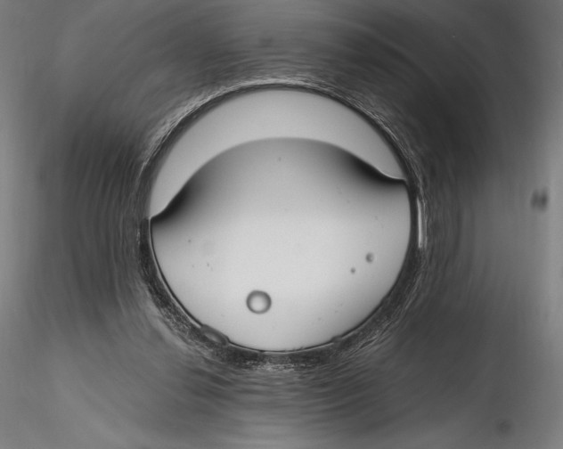 X0000115480252200912040959