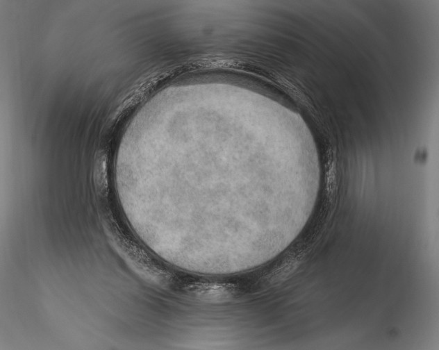 X0000115480254200912040959