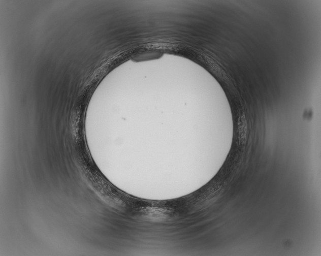 X0000115480255200912040959