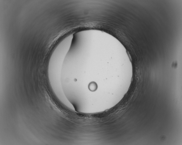 X0000115480256200912040959