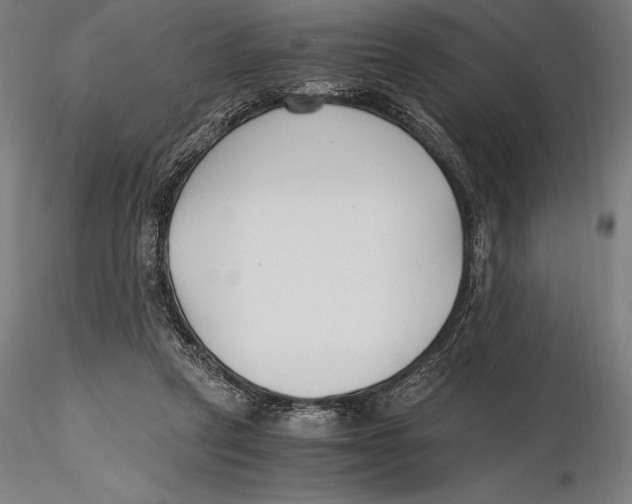 X0000115480257200912040959