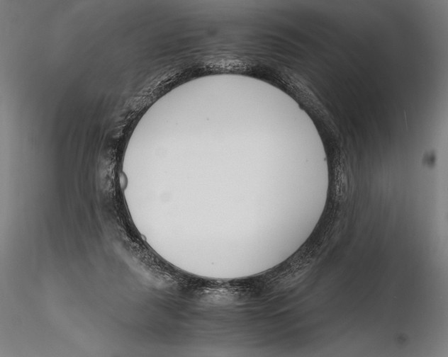 X0000115480259200912040959