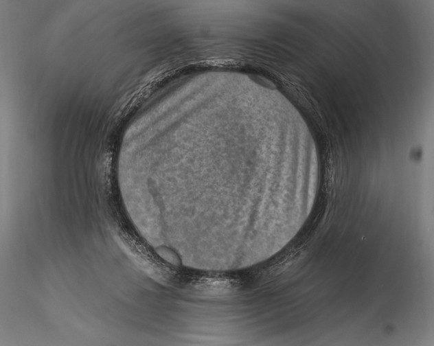 X0000115480260200912040959
