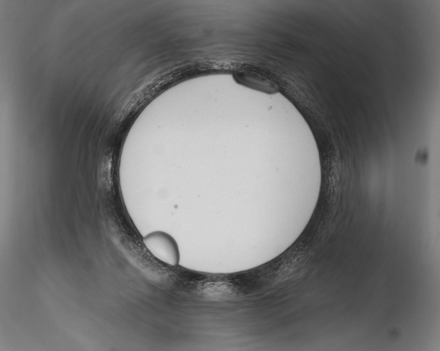 X0000115480262200912040959