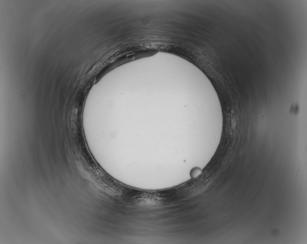 X0000115480263200912040959