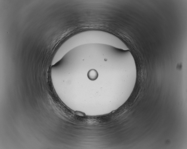 X0000115480264200912040959