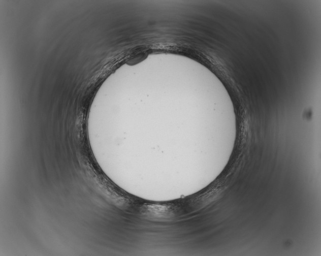 X0000115480265200912040959