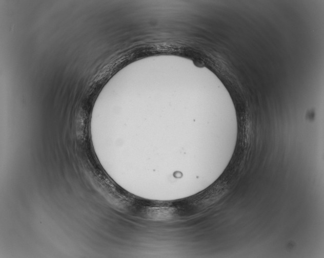 X0000115480266200912041000