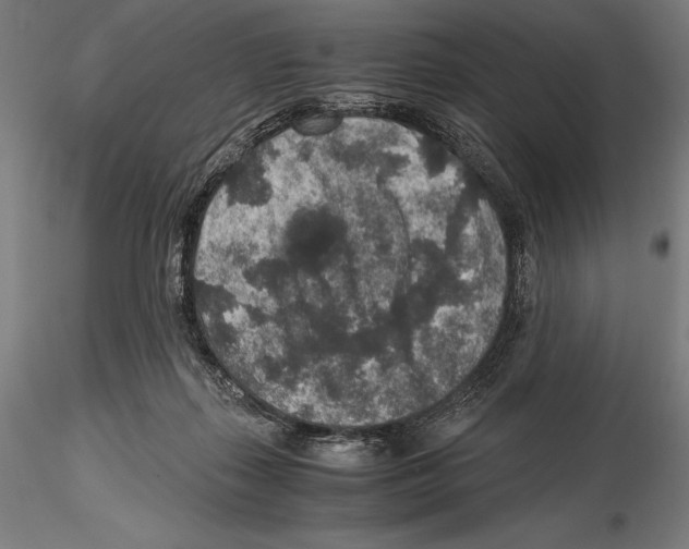 X0000115480267200912041000