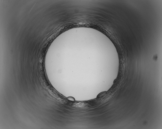 X0000115480269200912041000