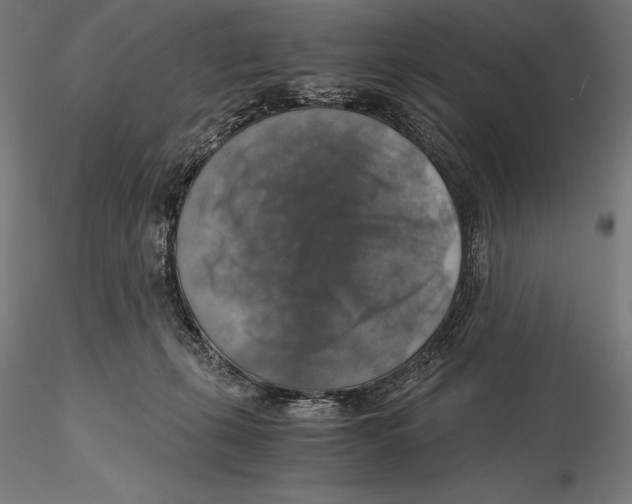 X0000115480271200912041000